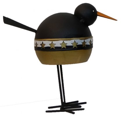 Sternen Vogel