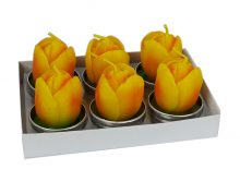 Tulpen Teelicht 6-er Box