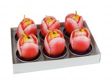 Tulpen Teelicht 6-er Box