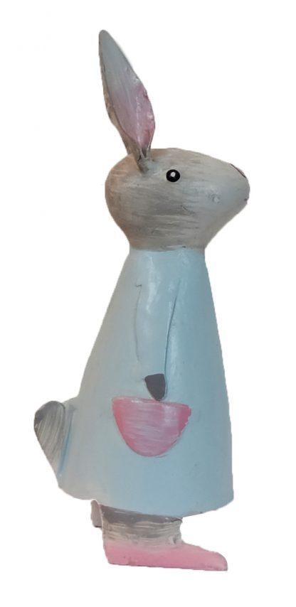 Nancy Hase blau