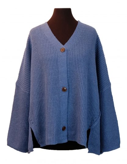 BLue Cardigan